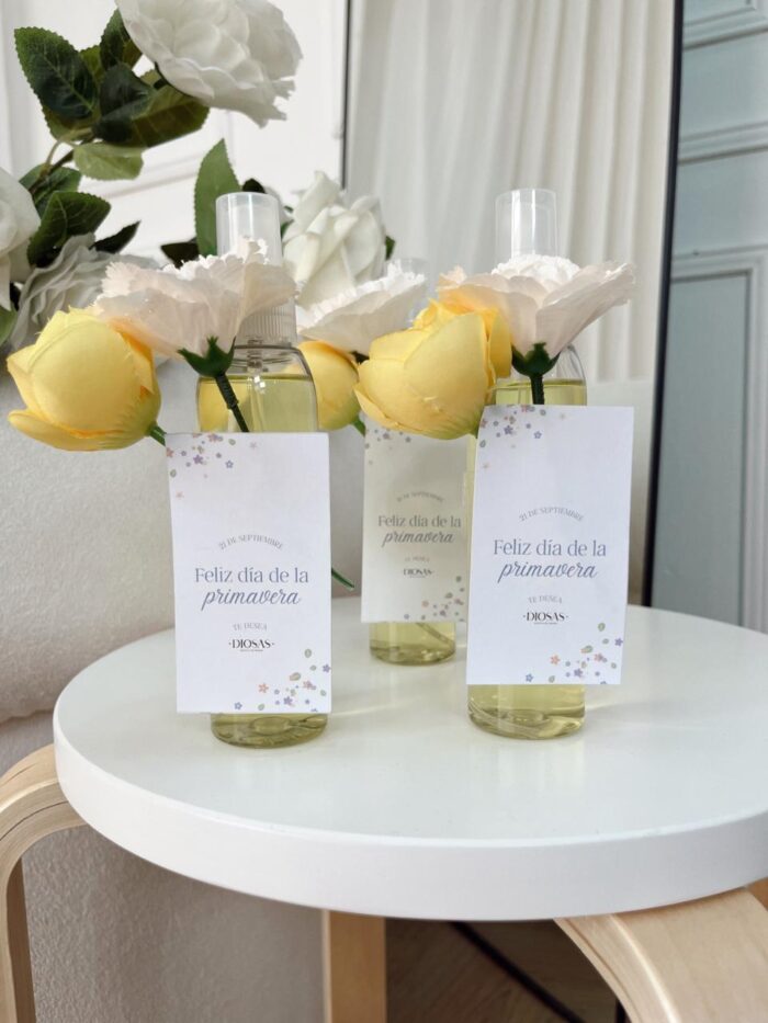 PERFUME TEXTIL CHER BY DIOSAS